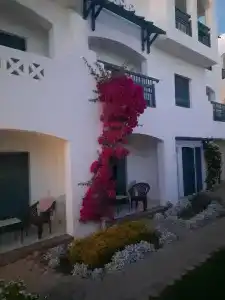 Solymar Naama Bay - 66