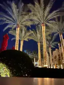 Rixos Sharm El Sheikh - Ultra All Inclusive Adults Only 18 Plus - 49