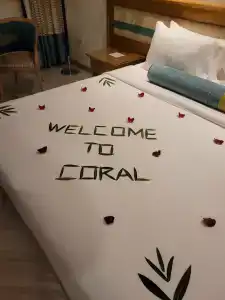 Coral Beach Resort Sharjah - 58