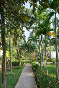 Deevana Patong Resort & Spa - SHA Extra Plus - 24