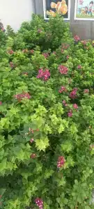 Amarina Abu Soma Resort & Aquapark - 65