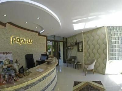 Papirus - 44