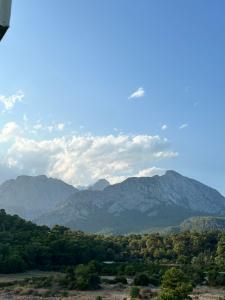 Crystal Prestige Elite - 80