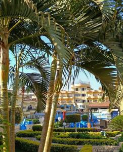 Sand Beach Resort - 21