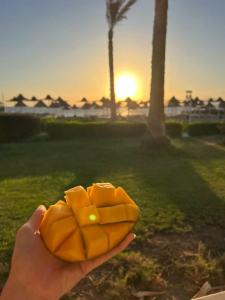 Parrotel Beach Resort - 77