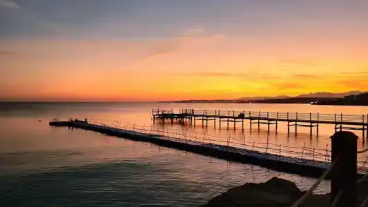 Sunrise Remal Beach Resort - 7