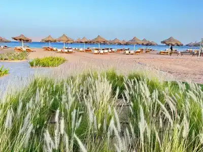 Baron Palms Adults Friendly Only 16 years plus Boutique Style - 89