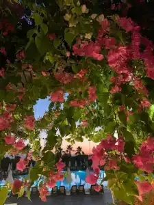 Alba Resort - Ultra All Inclusive - 36