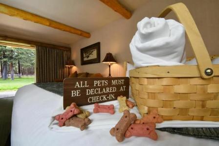 Best Western Ponderosa Lodge - 12