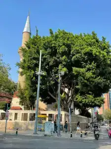 Crystal Centro Resort - Ultimate All Inclusive - 99