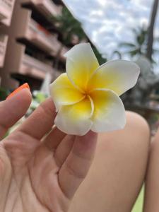 Phuket Orchid Resort and Spa - SHA Extra Plus - 34