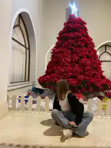 Steigenberger Alcazar - 79