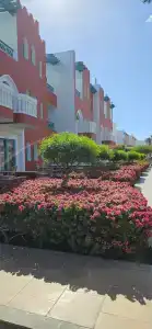 Sunrise Garden Beach Resort - 20