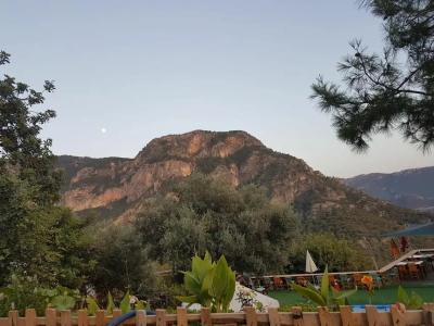 Shiva Camp - 13