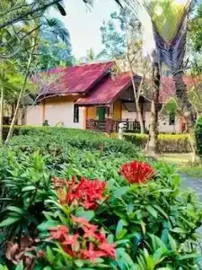 Kaibae Hut Resort - 1