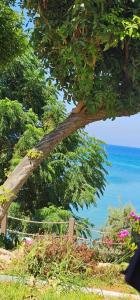 Crystal Springs Beach - 73