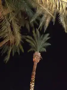 Shams Safaga Resort - 46