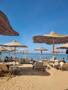 Jaz Makadi Saraya Palms - 28