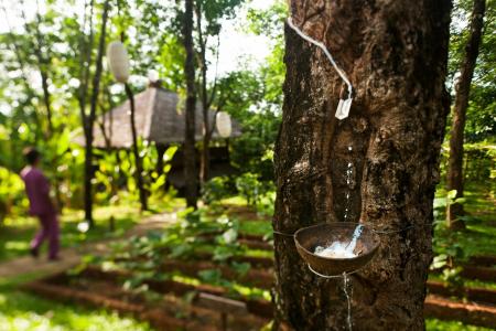 Six Senses Yao Noi - SHA Plus - 45