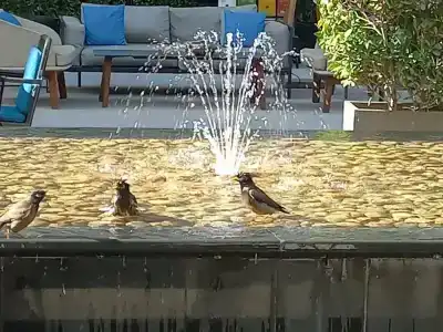 Beach Rotana - Abu Dhabi - 13