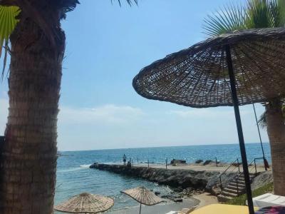Kolibri - All Inclusive - 89