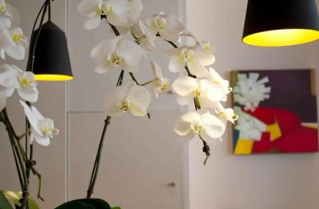 Hôtel Jardin de Cluny - 27
