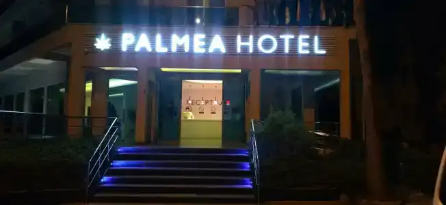 Palmea - 2