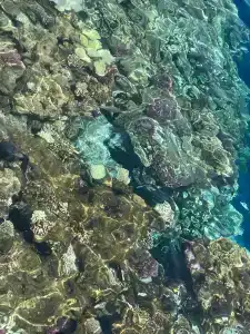 Xperience Kiroseiz Parkland - 15