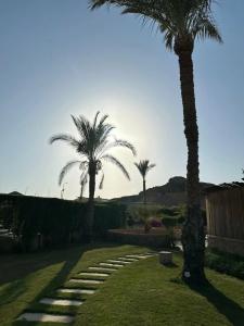 Xperience Golden Sandy Beach - 10