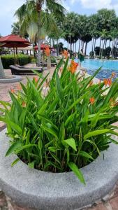 Ravindra Beach Resort & Spa - SHA Extra Plus - 39