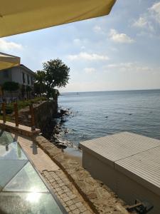 Carpe Diem Boutique - Adults Only - 9