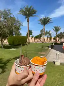 Pickalbatros Aqua Park Resort - 84