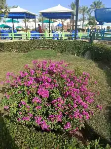 Gafy Resort Aqua Park - 64