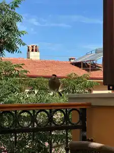 Perdikia Hill And Villas - 25