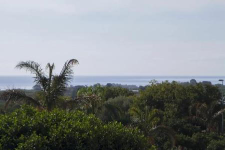 La Terra Dei Sogni Country - 28