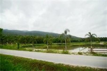 Kireethara Boutique Resort - 78