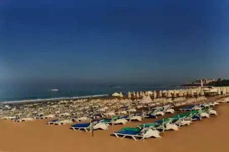 Sunlight Garden - 11