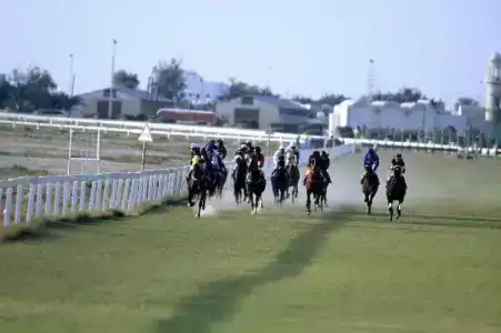 Sheraton Grand Doha Resort & Convention - 7