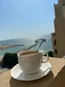Bahi Ajman Palace - 57