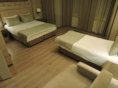 Sultanahmet Inn - 66