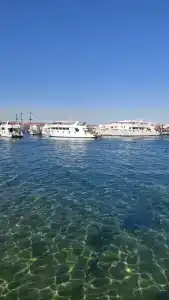 DoubleTree by Hilton Sharks Bay Resort - 33