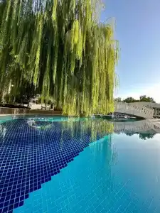 Crystal Prestige Elite - 23