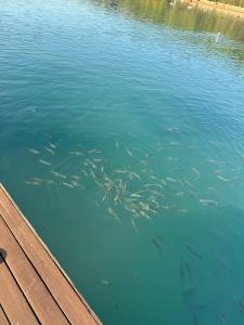 Crystal Green Bay Resort & Spa - Ultimate All Inclusive - 62