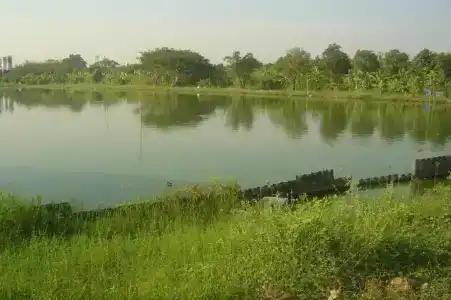 QG Resort - 5