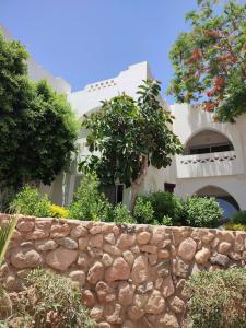 Domina Coral Bay Resort, Diving , Spa & Casino - 23