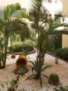 Sunrise Holidays Resort -Adults Only - 31