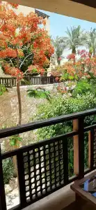 The Grand Sharm El Sheikh - 38