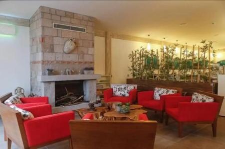 Assos Barbarossa - Special Category - 11