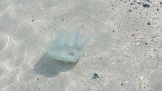 Red Castle - Managed by Aoudi Consultants - 83