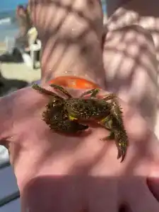 Tusan Beach Resort - All Inclusive - 37